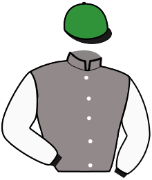 Ecurie Mvlt