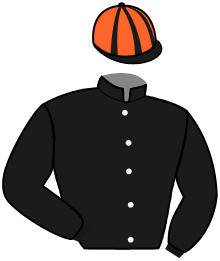 Ecurie Horse Avenir