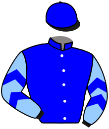 Emcee Stable, Llc, Grimes, Karen