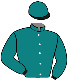 Mm Bloodstock Llc (Mohamed Mouba