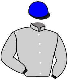 Sheikh Hamdan Bin Mohammed Al Ma