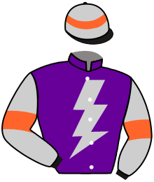 Racing Buddies Syndicate