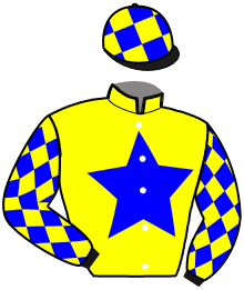Mir S.r.l. (Ity)