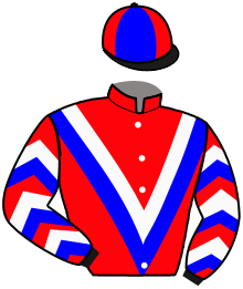 Vivacious Syndicate