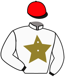 Rodeo Chico