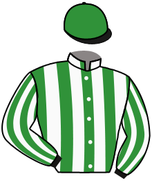 The Thoroughbred Racing Corporat