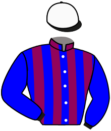 Four Fillies Racing And Partner