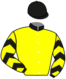 Sjb Stable