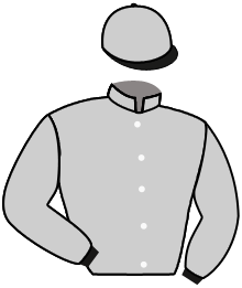 Sheikh Hamdan Bin Mohammed Al Ma