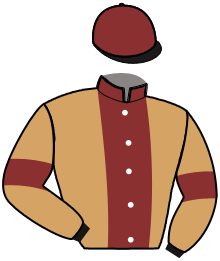 N. Ferchaud