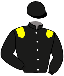 Ecurie Zingaro