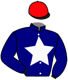 Ecurie Saint Martin