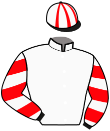 Ecurie Laurent Viricel