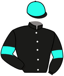 Millar M Patricio