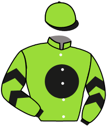 Mazel Stable Partners, Llc And R