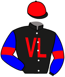 Vinlaur Racing Stables Llc