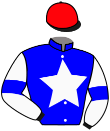 Diomed Racing And Partner