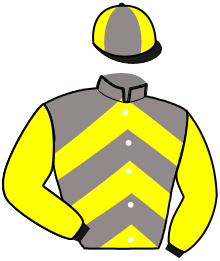 Ecurie M.j. Vivion
