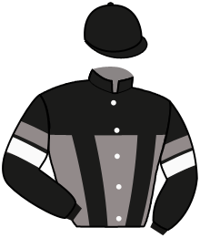 Kb Capulus Horses