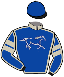 Baccari Racing Stable Llc