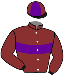 Mr M. Fitzpatrick & Partner