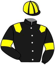 G. Raffestin