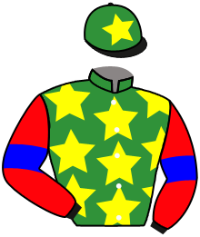 Y. Inutsuka