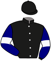 H. Saito