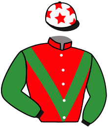 Lioni Racing Stable Llc