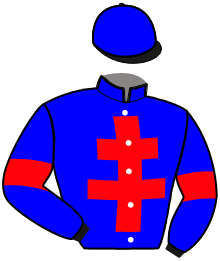 D. Raffini