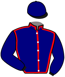 H. Leveau