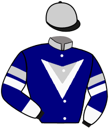 Vicente Stella Stables Llc (Vice