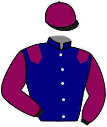 R. Vigneron