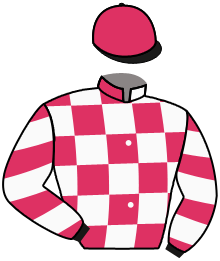Winfield Racing Llc