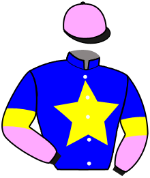 Leo Racing Syndicate