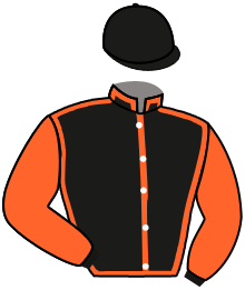 The Horse Watchers 4