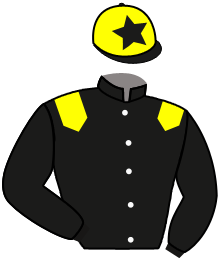 Mr Mohamed Saeed Al Shehhi
