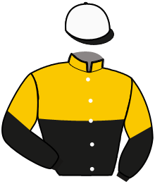 Vaidas Rimsa