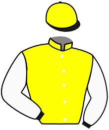 Guy Pariente Holding / F. Chappet