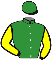 P&D Bronsman Ab