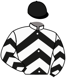 Bred To Win/Jurzynek/L. Barberot