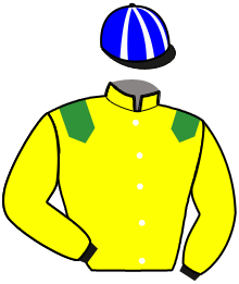 Ecurie Bresil