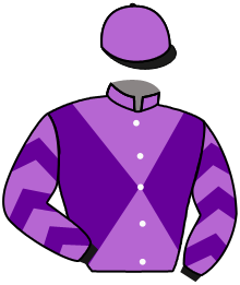 Harold Lerner Llc, Awc Stables A