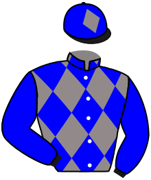 Mr Anthony Bithell