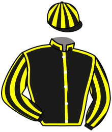 Quest Thoroughbreds - Lady Marik