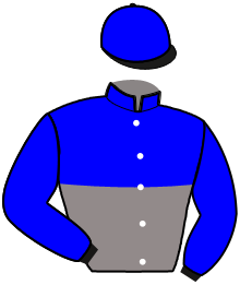 Ecurie Top Ten Etalons