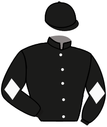 Black Horse Bloodstock, Llc