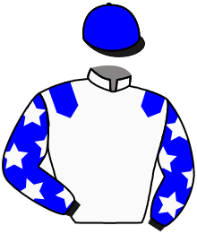 Rennstall Blue Magic