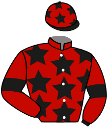 Guerrero de la Vida