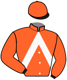 Tanguy de la Bourdonnaye